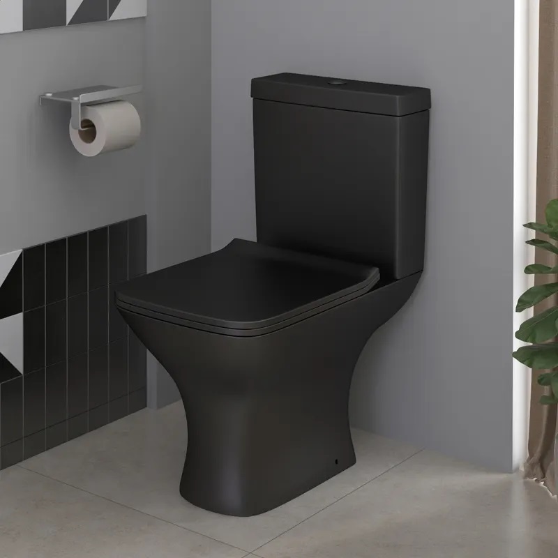 Cheap ceramic water closet rimless two piece toilet bowl sanitary ware toilet for bathroom