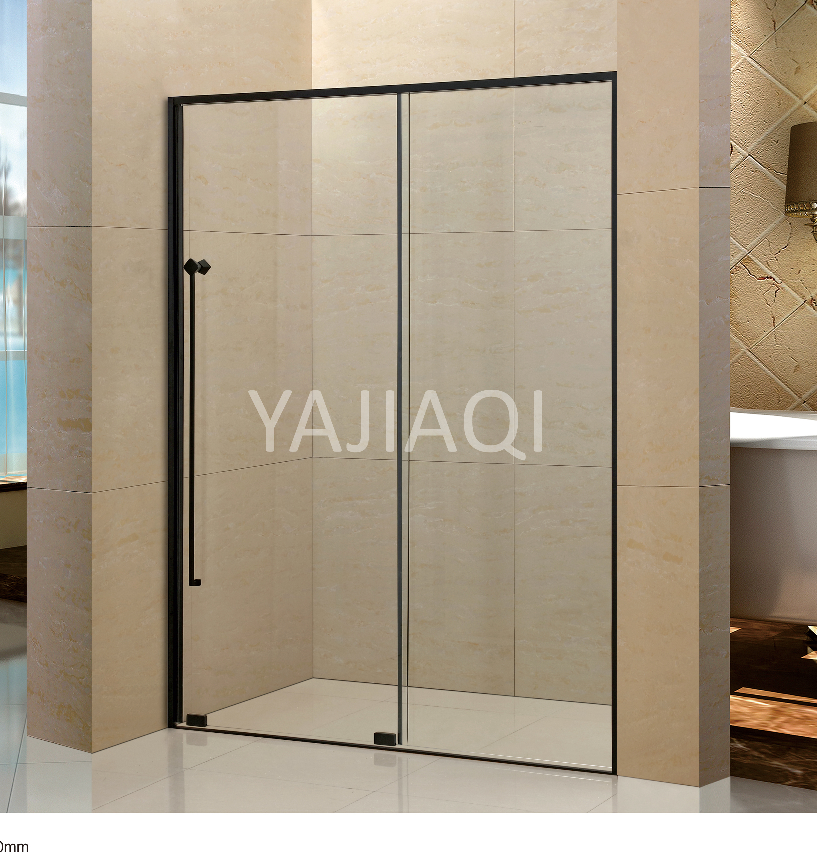 shower door with black 304SS