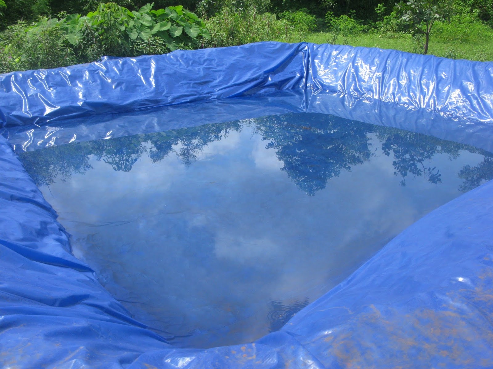 The service life of the impermeable fish pond tarpaulin is 2~5 years, 150gsm, 200gsm, 250gsm