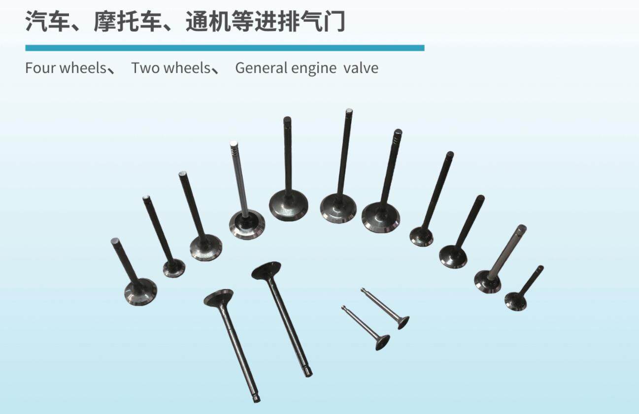 JIANGSU CHANGYING MACHINERY CO.,LTD. – cadena de bicicleta 1