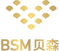 BSM ENTERPRISE LTD