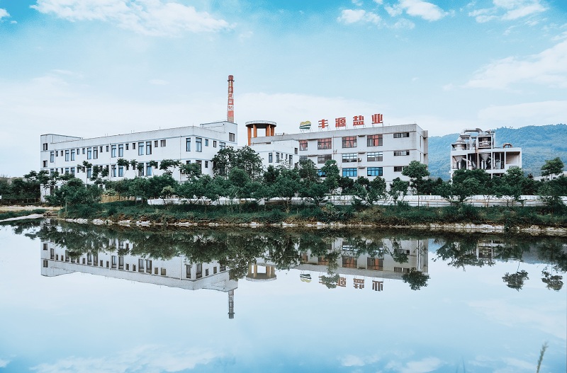 Yibin Fengyuan Salt Industry Co., Ltd. – salt 2