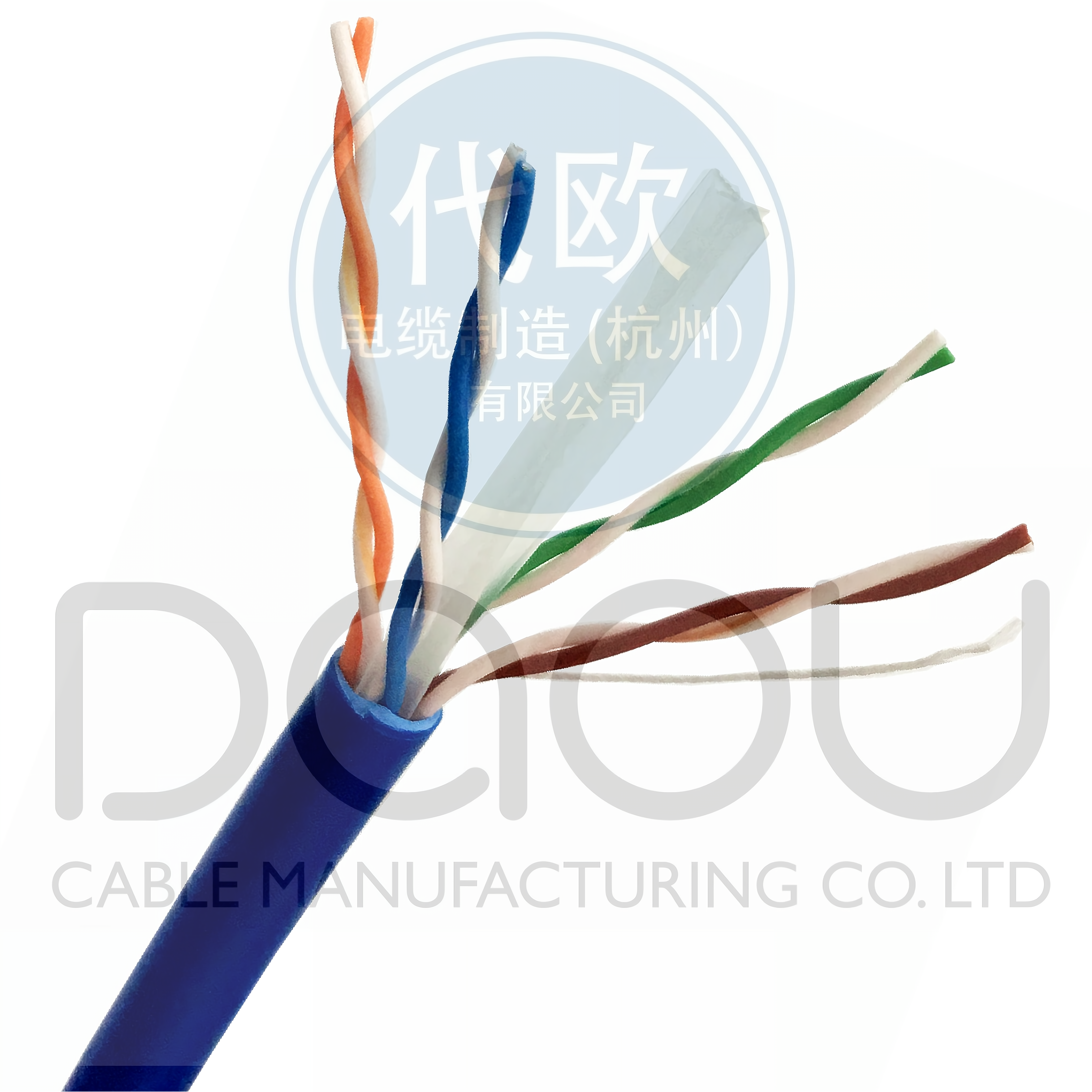 network cable