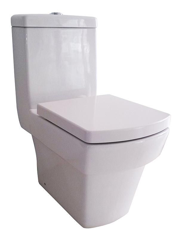 Two Piece Toilet With Wash Down System 180mm Rough In Ceramic Toilet Bathroom Toilet