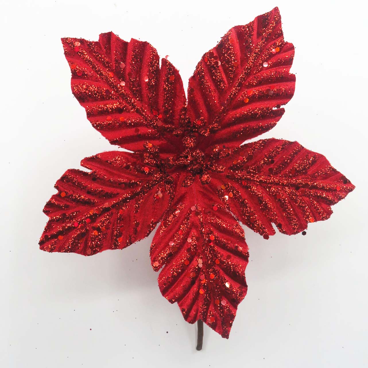 Poinsettia