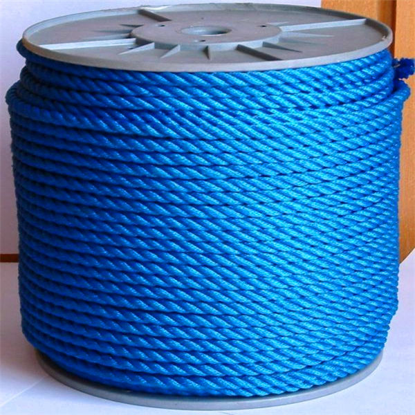 ShanDong Dongtalent high density plastic PE rope with reel packaging for agriculture and marine