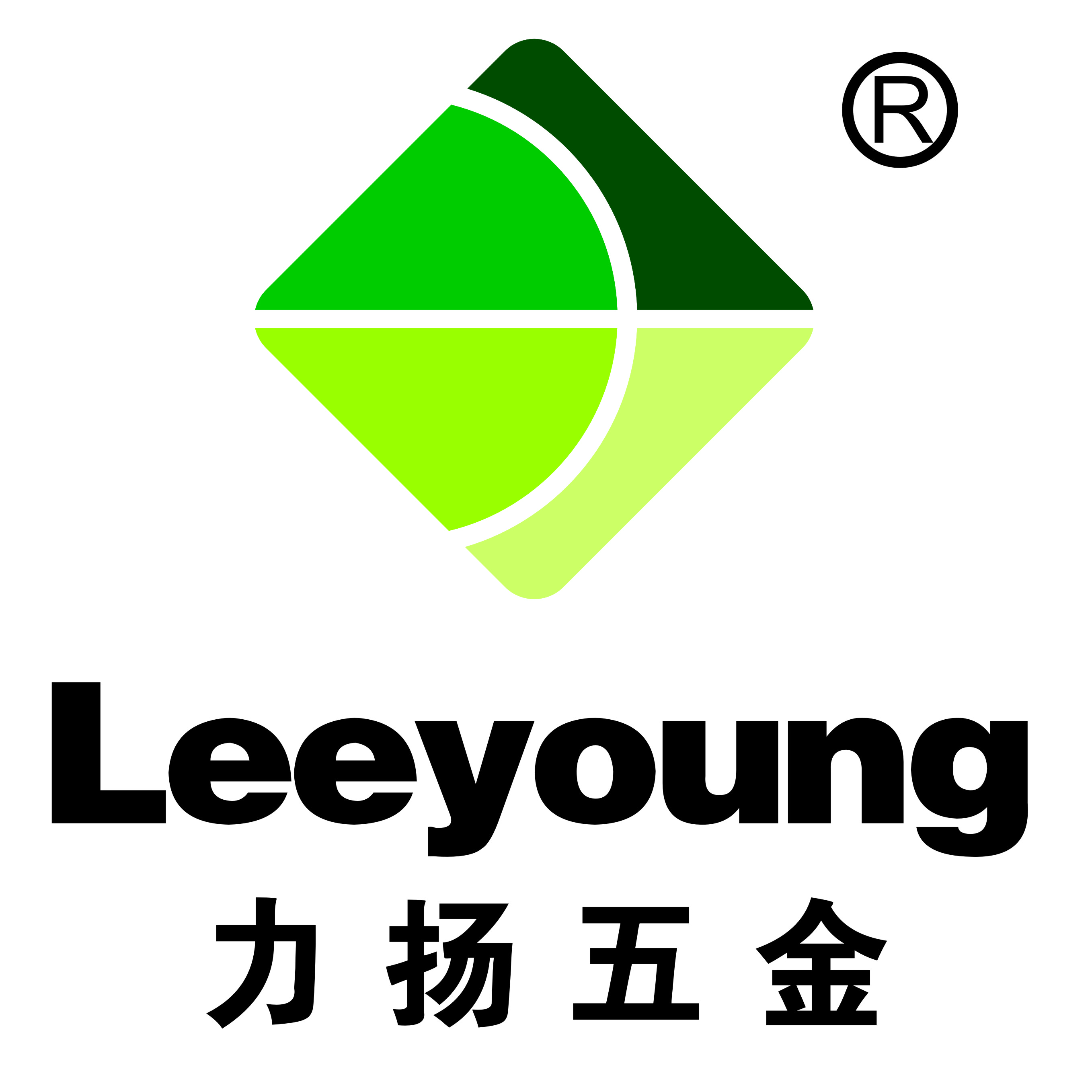 JINHUA LEEYOUNG HARDWARE MANUFACTURE CO LTD