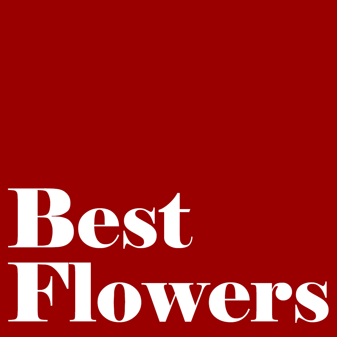 JINAN BEST FLOWERS CO., LTD