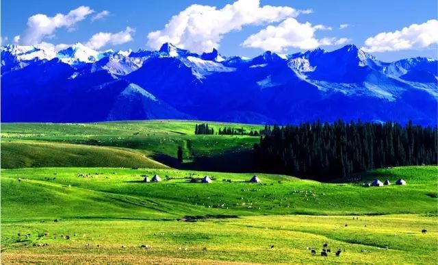Kashgar Yonghe Xincheng Trading Co., Ltd