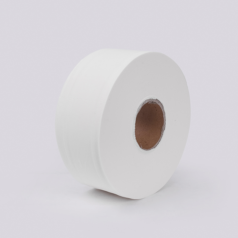 Jumbo roll toilet