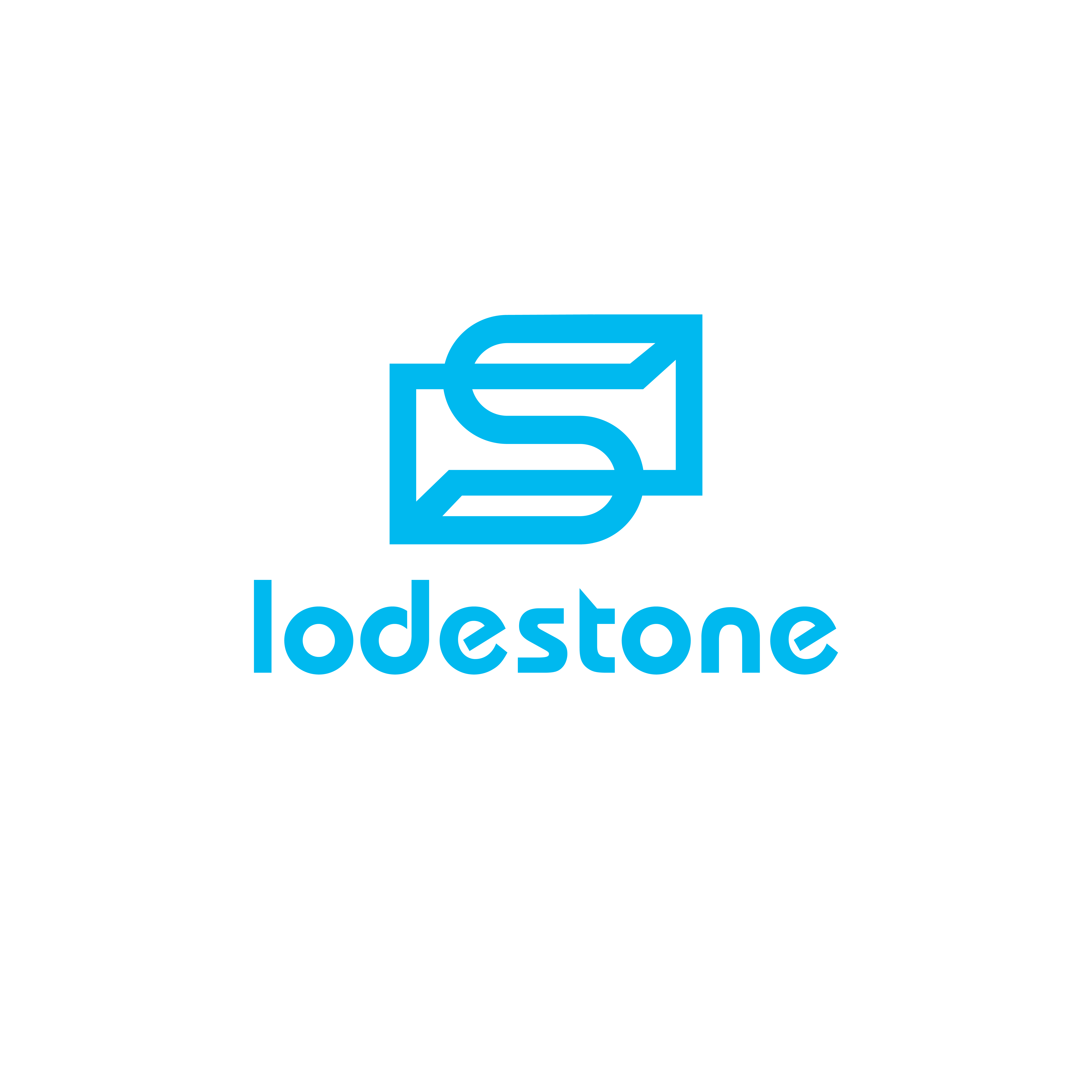 Hangzhou Lushi Import and Export Co., Ltd.
