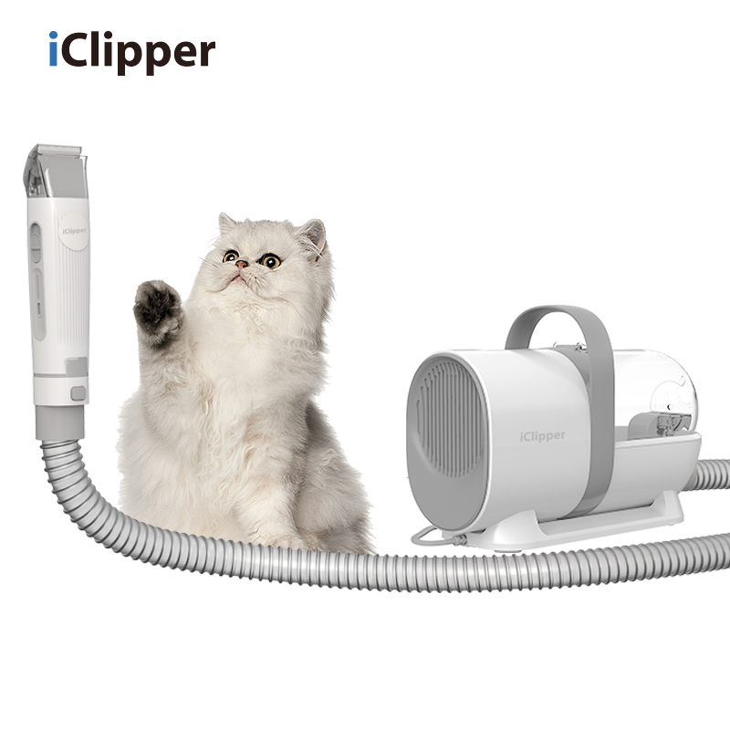 NINGBO ICLIPPER ELECTRIC APPLIANCE CO.,LTD – colchoneta de yoga 4
