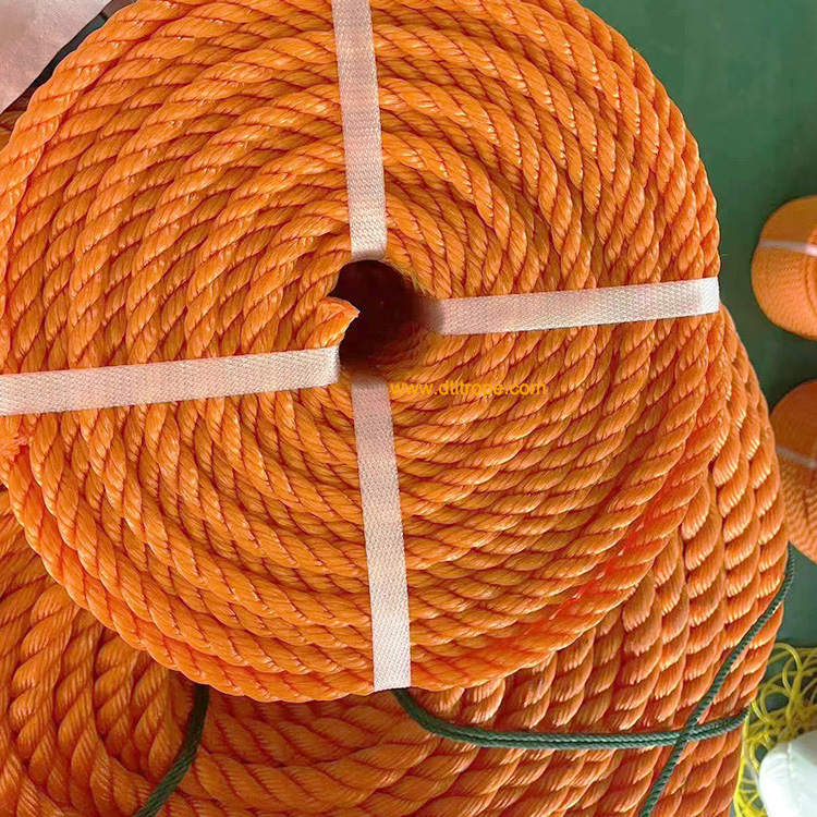 Dongtalent Customized size PE rope