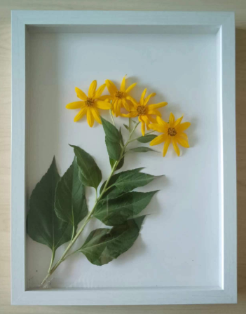 MDF BOX frame for picture