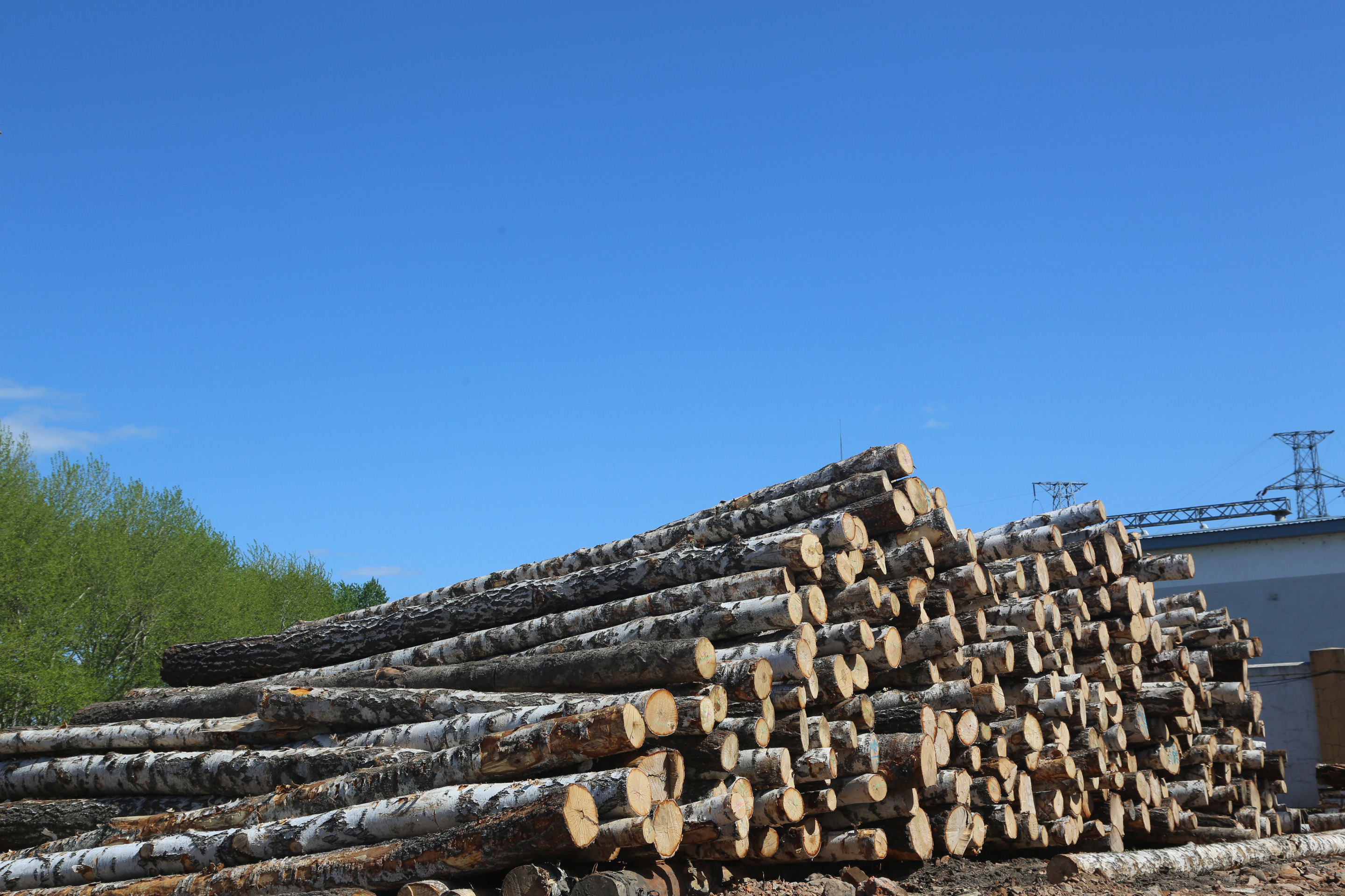 Yichun Chenying Wood Industry Co., Ltd. – Product photos 2