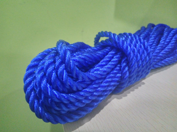Dongtalent PP monofilament rope blue