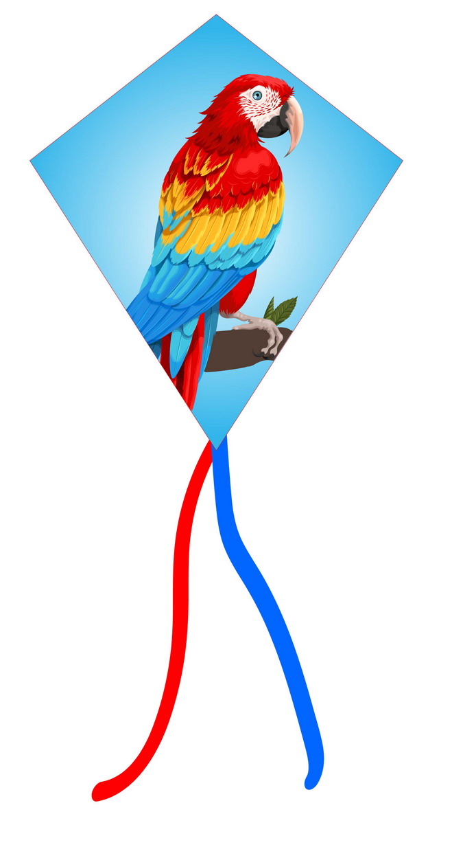 Orient Kite