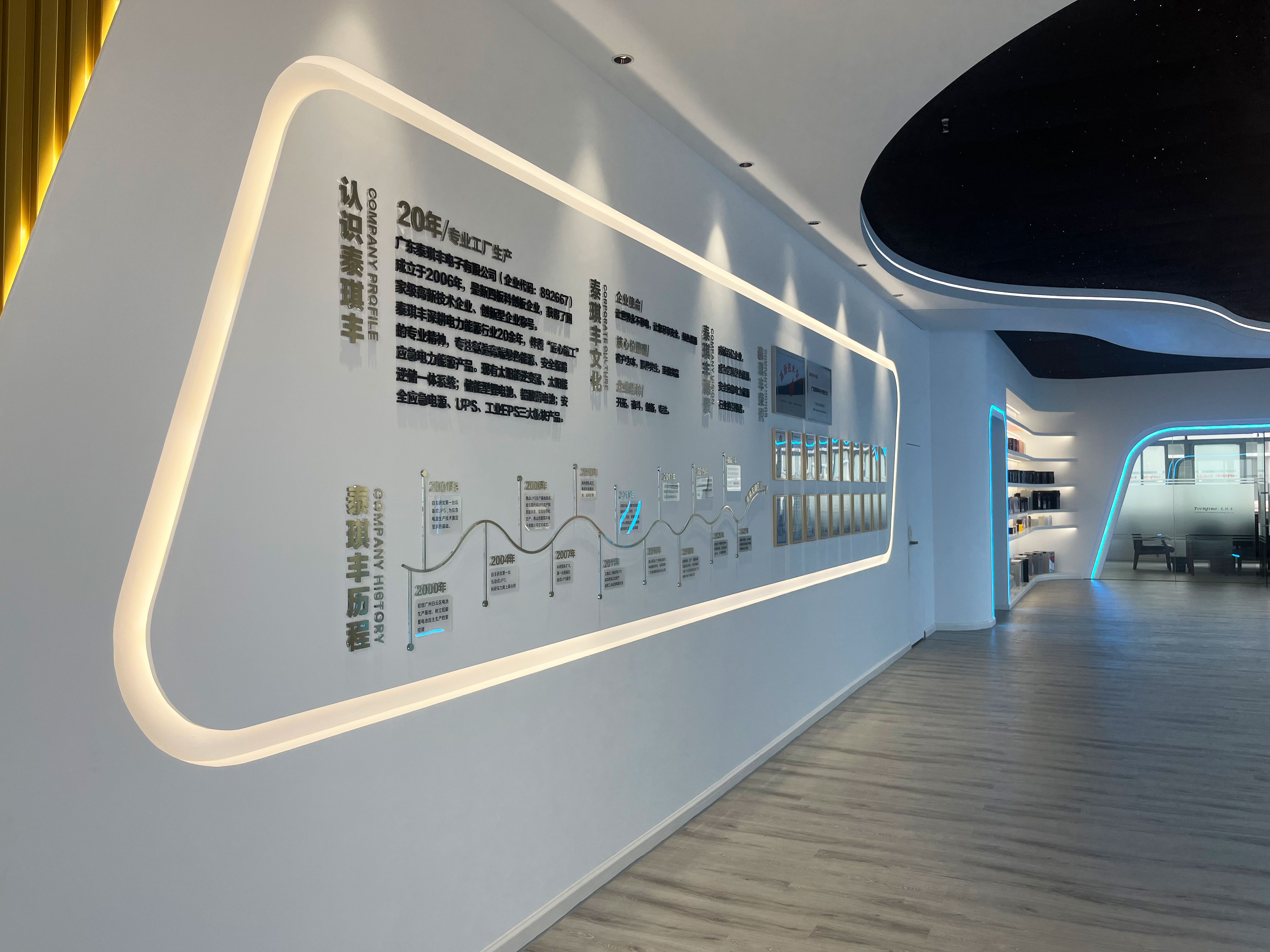 Guangdong Taiqi Feng Electronics Co., Ltd. – controllers 2