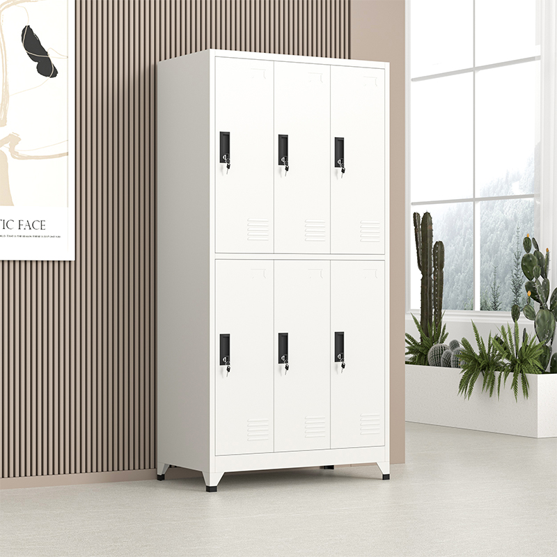 6 doors steel locker