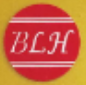 Shenzhen Bailonghui Footwear Co., Ltd.