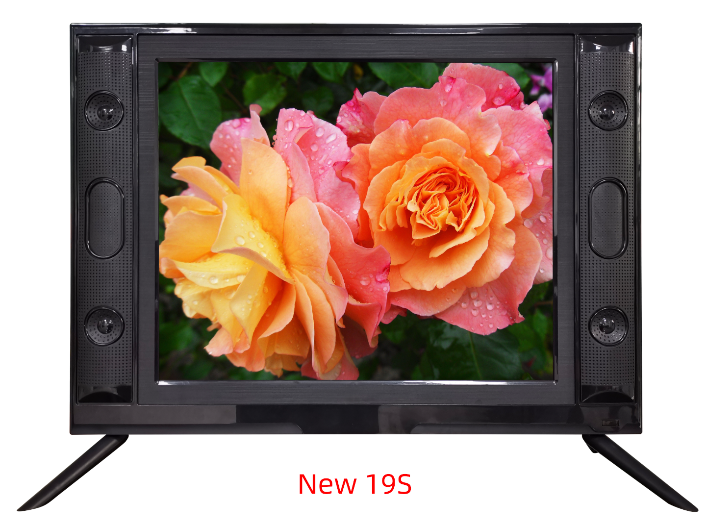 19 inch LCD TV