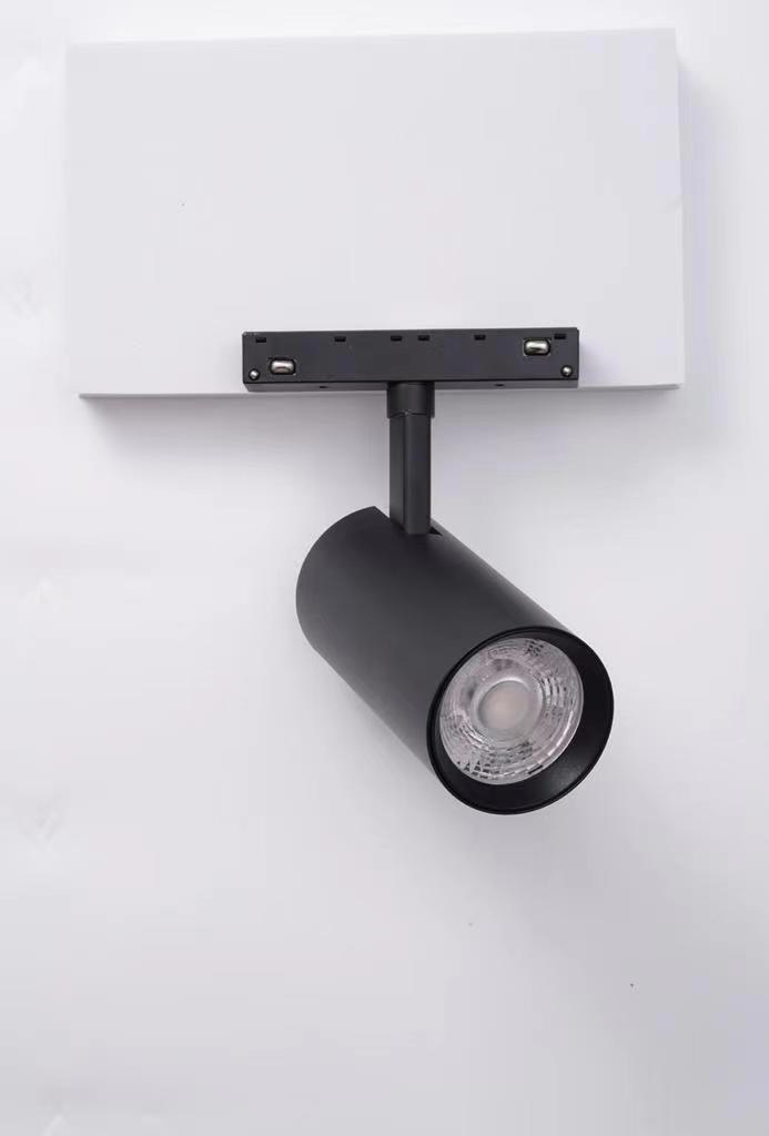 Tracking light