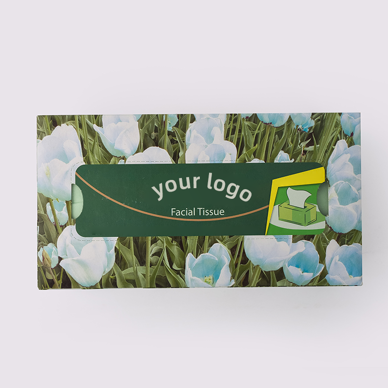 Colored Box facial tissue