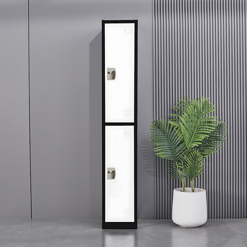 2 doors steel storage locker