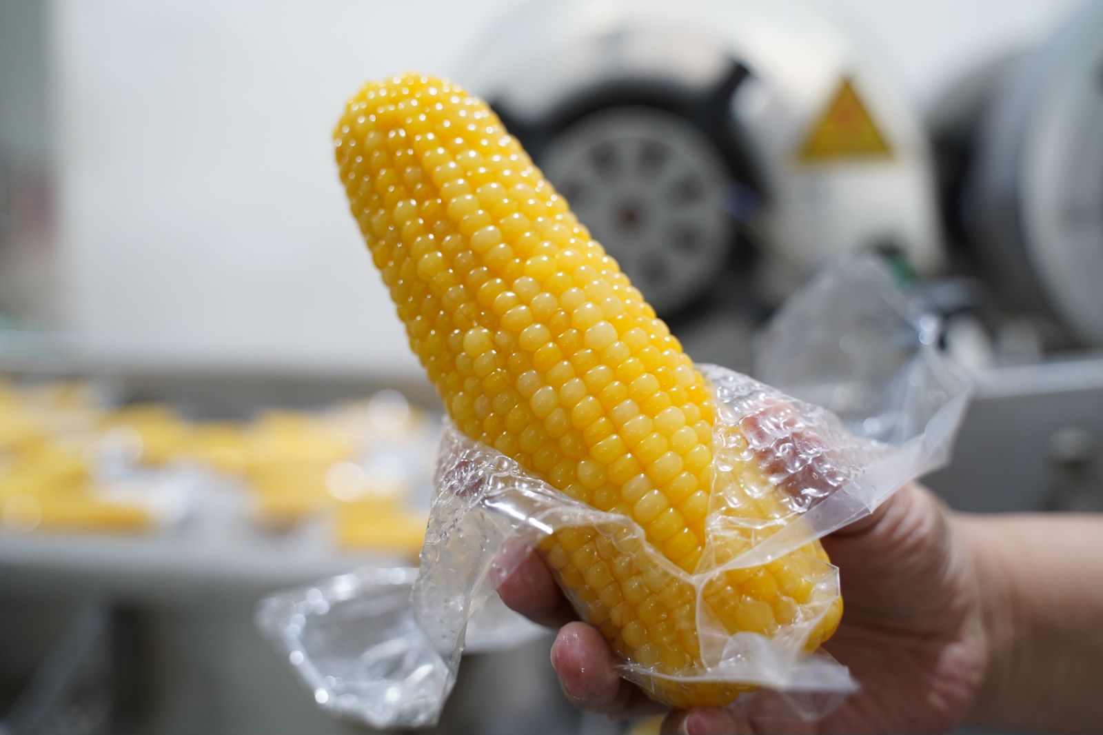 CHANGCHUN YUJI AGRICULTURAL TECHNOLOGY CO., LTD. – agricultural products 3