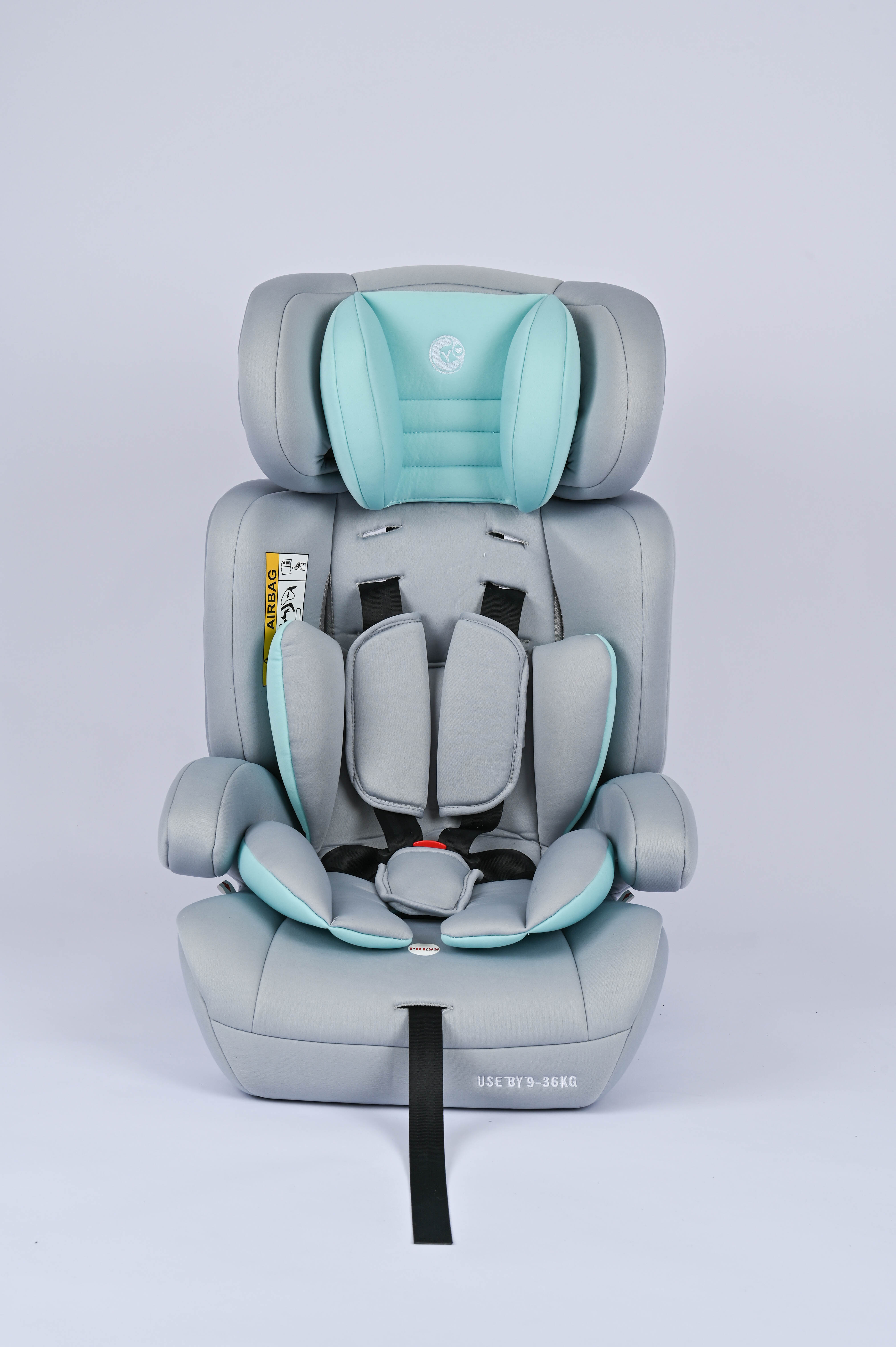 Shandong Eco Friendly Technology Co., Ltd – carro de juguete 2