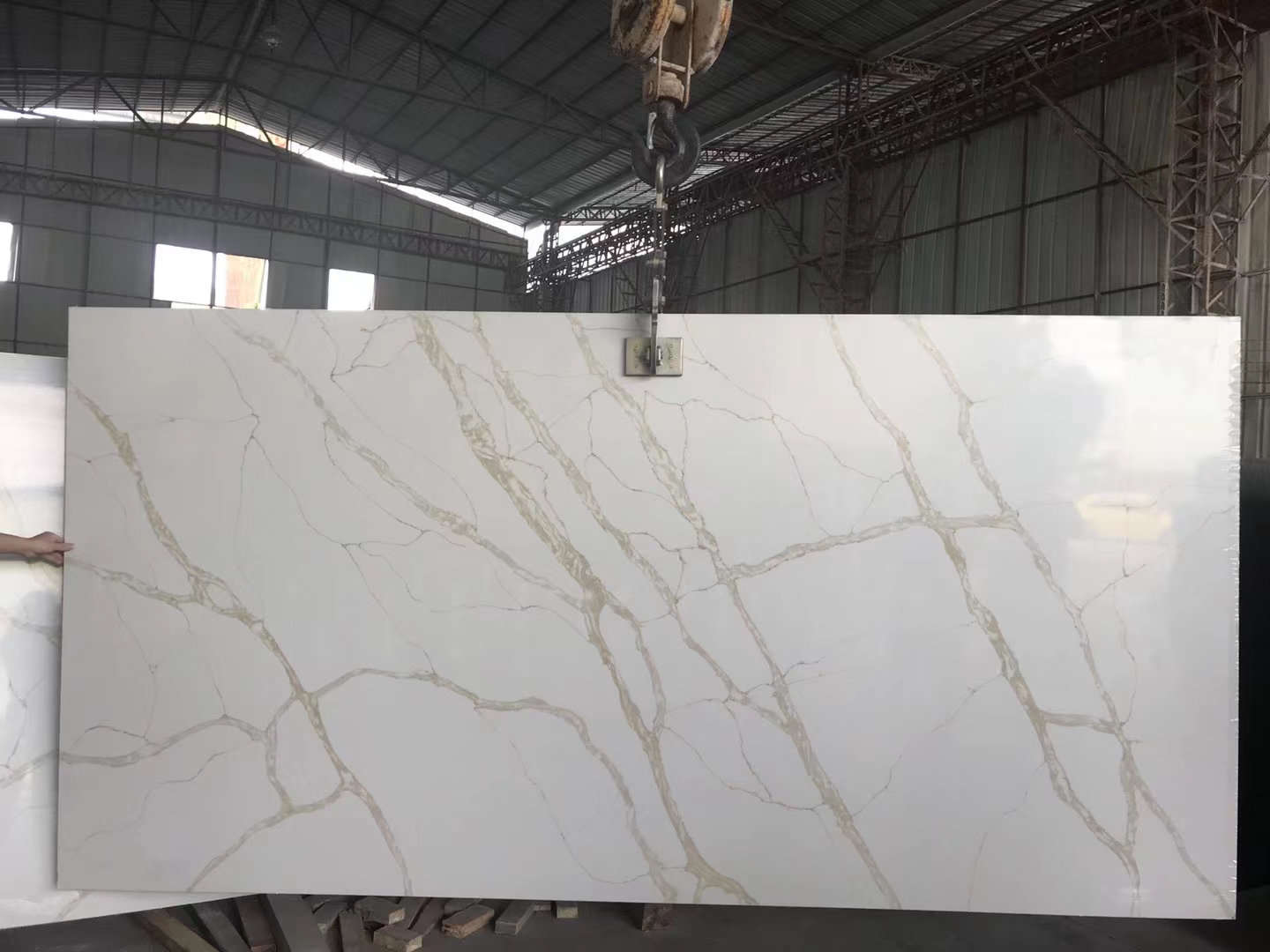 zhaoqing boton imp. & exp. co.,ltd. – curb 4