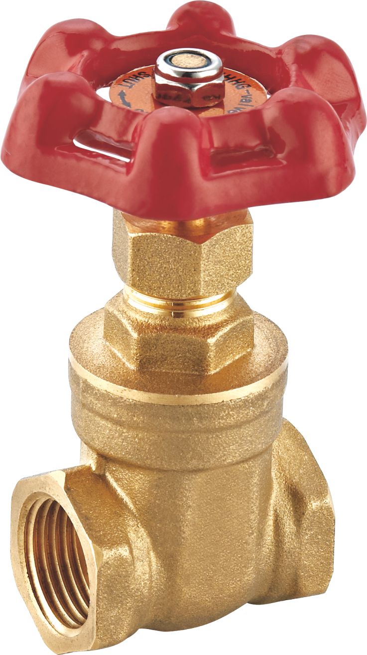 Brass gate valve