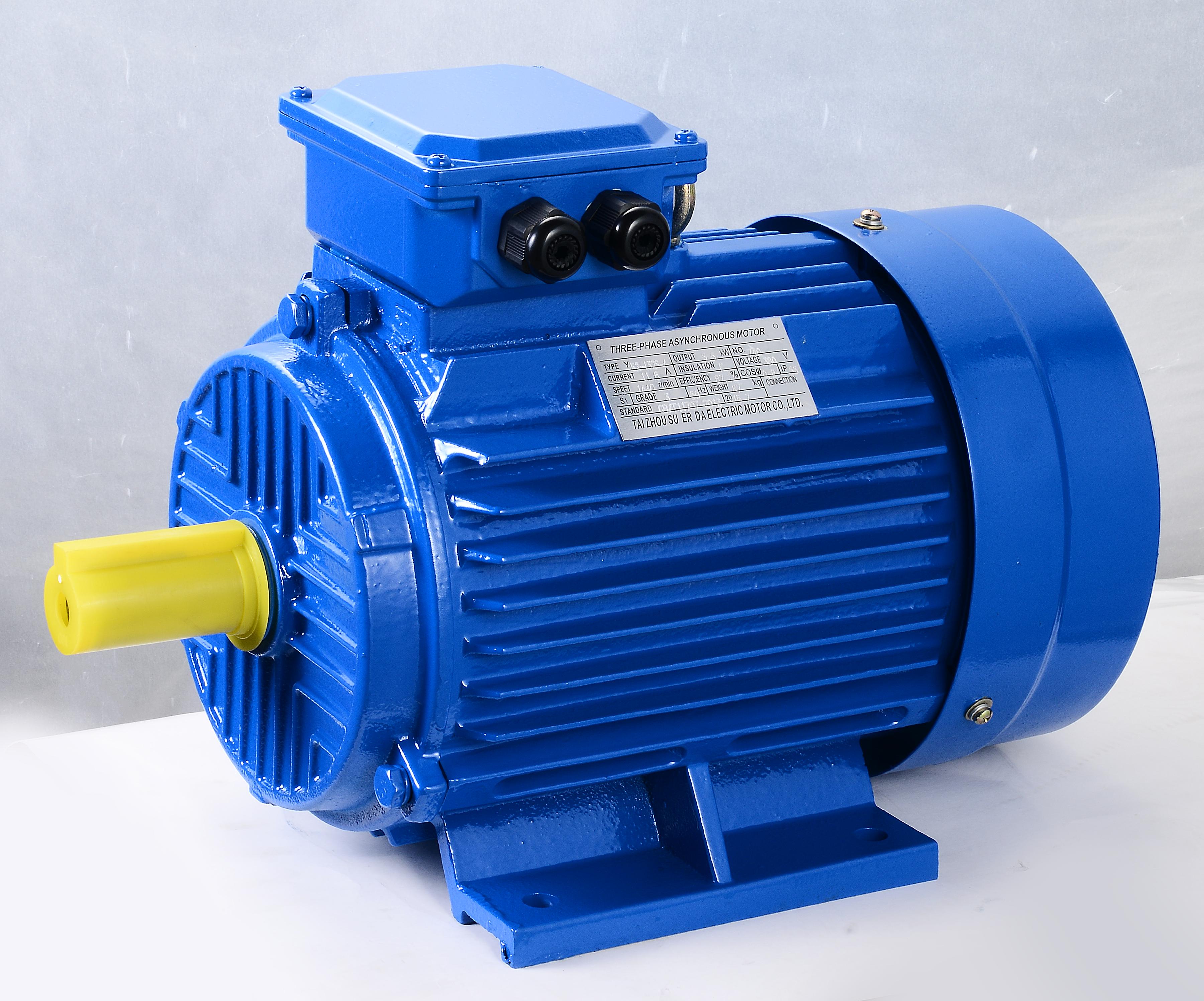 Electric Motor