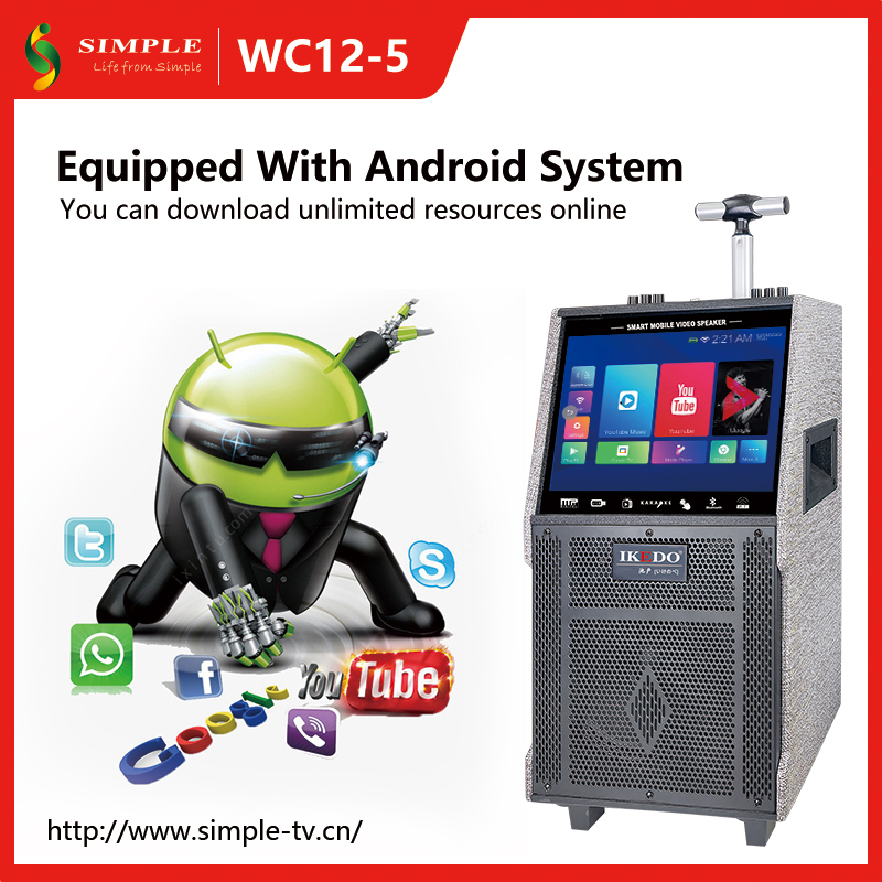 Portable video speaker