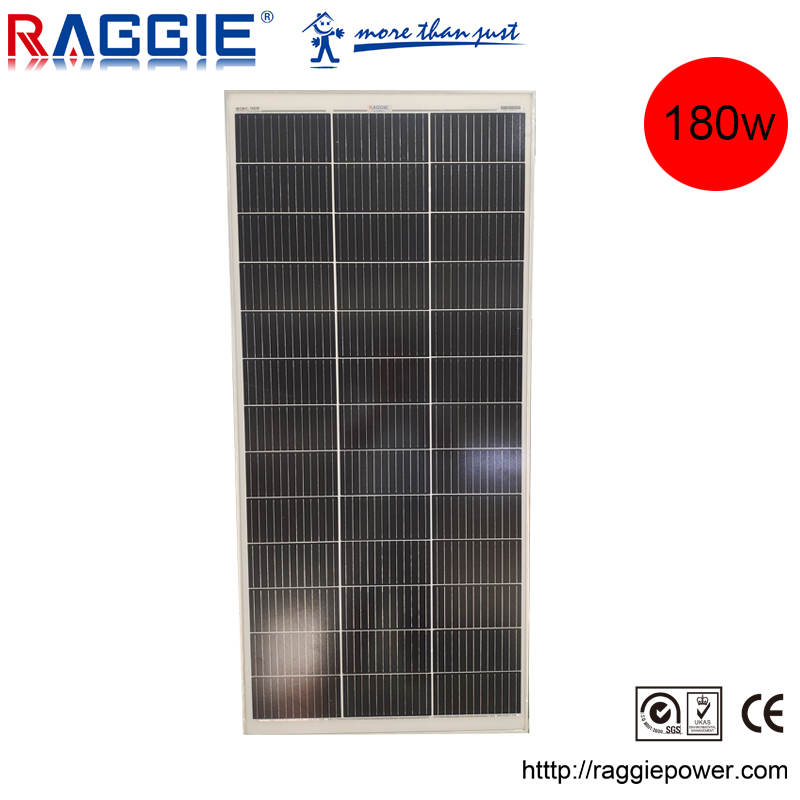 ZHEJIANG RAGGIE IMP & EXP CO.,LTD – Merchants 1