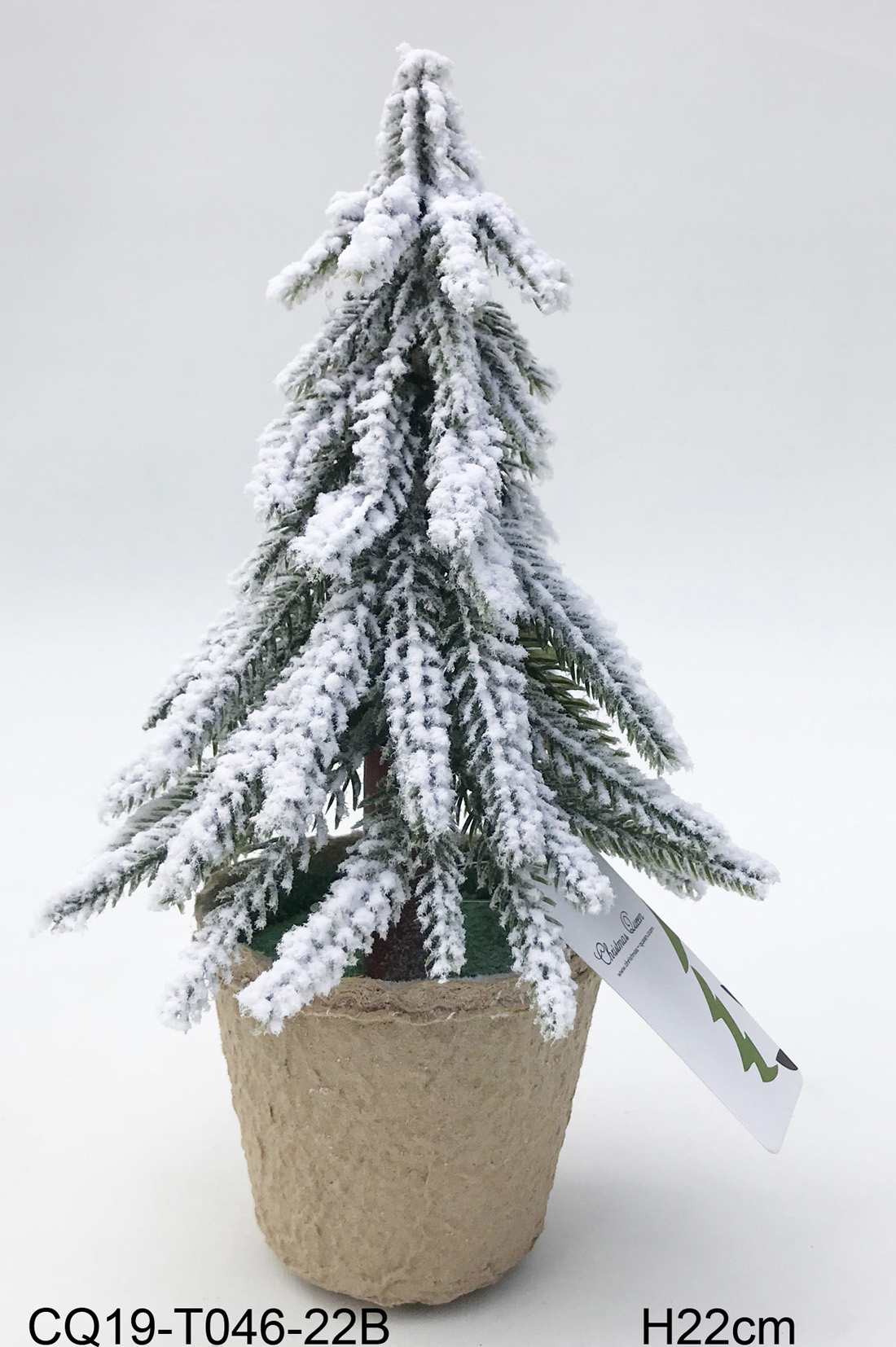 Cute and Compact: Small Christmas Trees for Spaces of Any Size