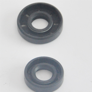 Big Oil Seal/Small Oil Seal Of Brush Cutter Spare Parts Bg328