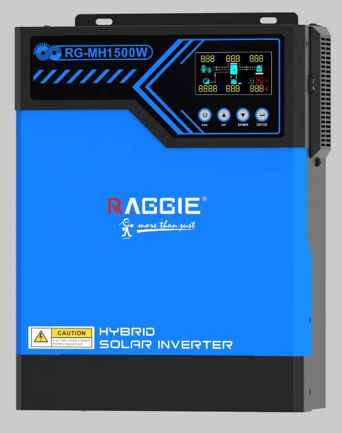 ZHEJIANG RAGGIE IMP & EXP CO.,LTD – Agents 3