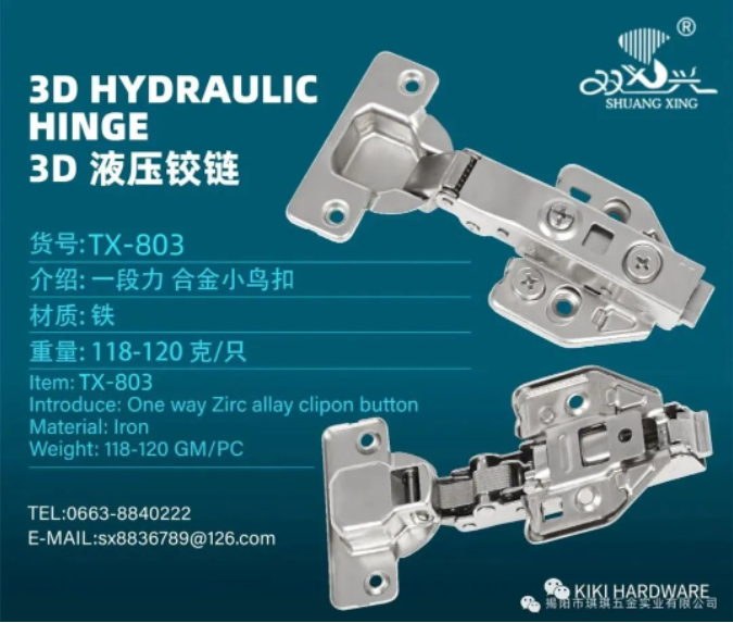 Concealed Hinge