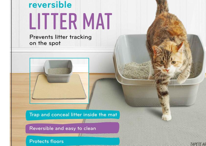 patent cat litter mat
