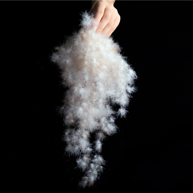 Zhanjiang Ziking Eider Down Production Co., Ltd. – toalla de baño 3