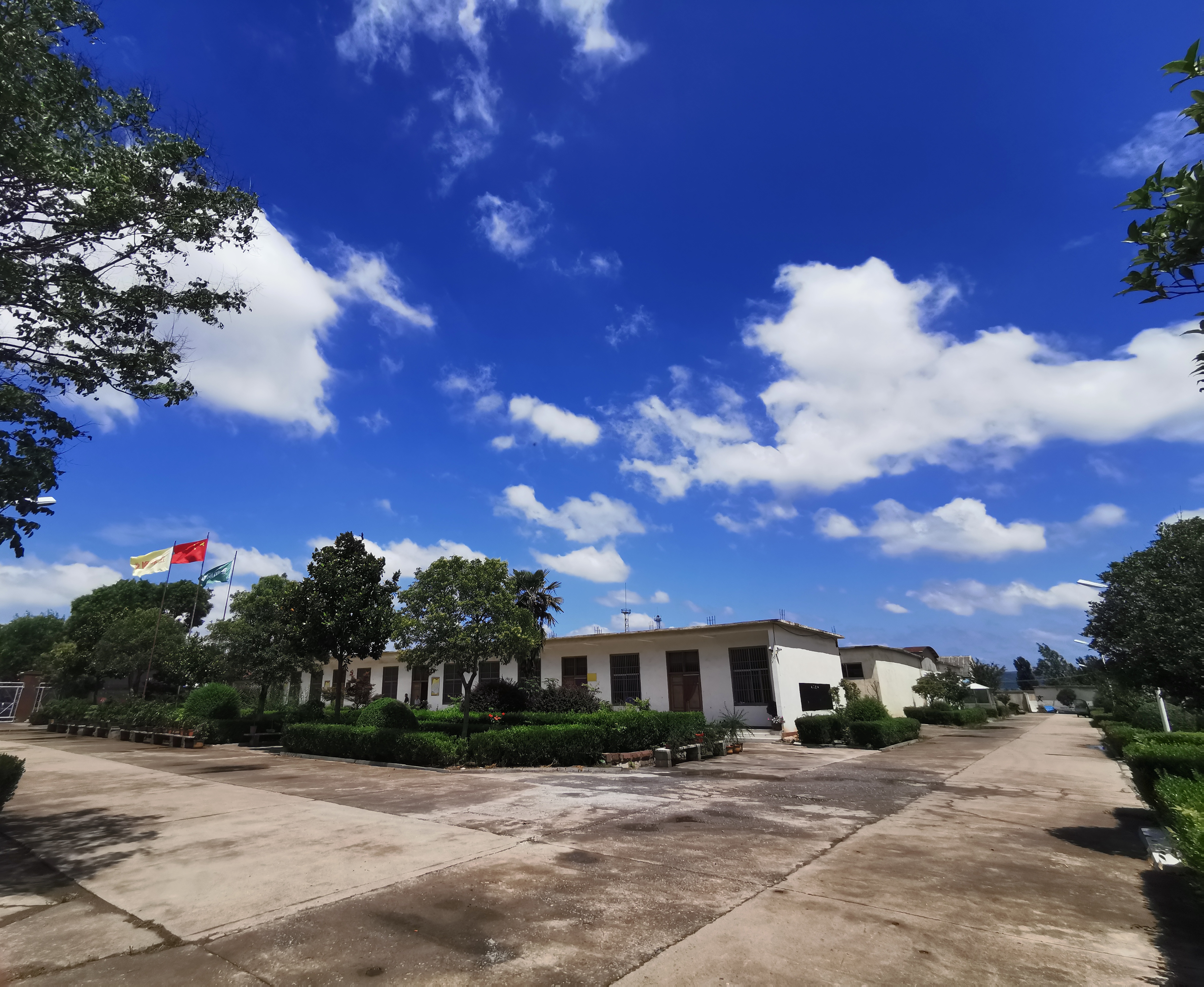 Zaozhuang Zhenghe Brush Manufacturing Co., Ltd. – roller brush 2