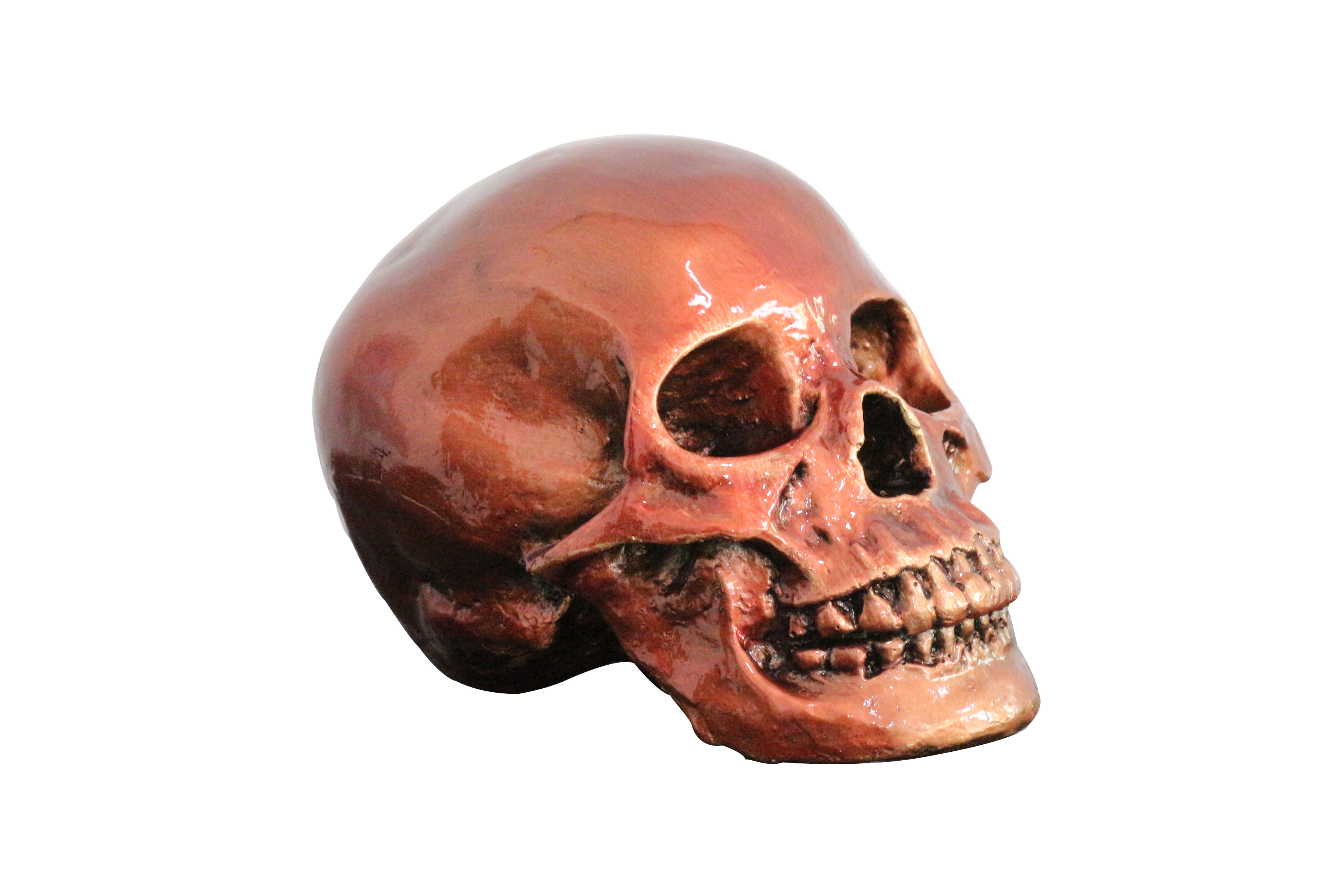Sculpture/skull