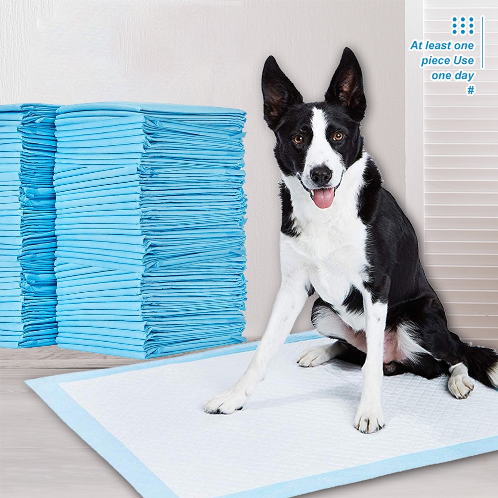 pet pad, pet training pad, pet pee pad