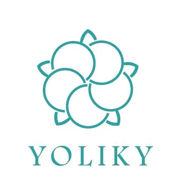 Hunan Youlijie Nonwoven Products Co., Ltd.