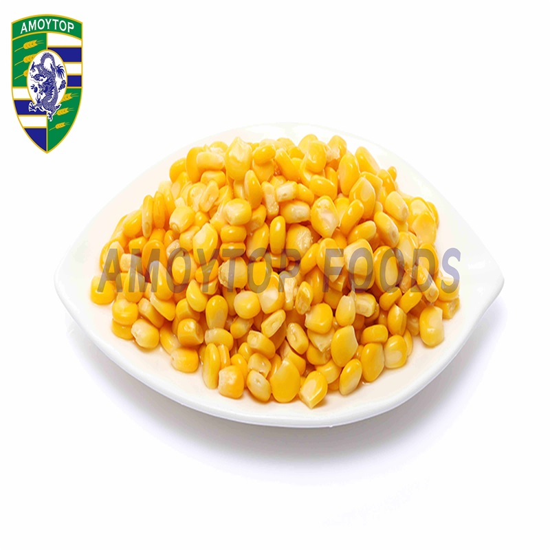 XIAMEN AMOYTOP IMPORT & EXPORT CO., LTD. – bicicleta de montaña 3