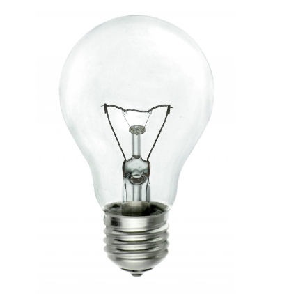Bulb