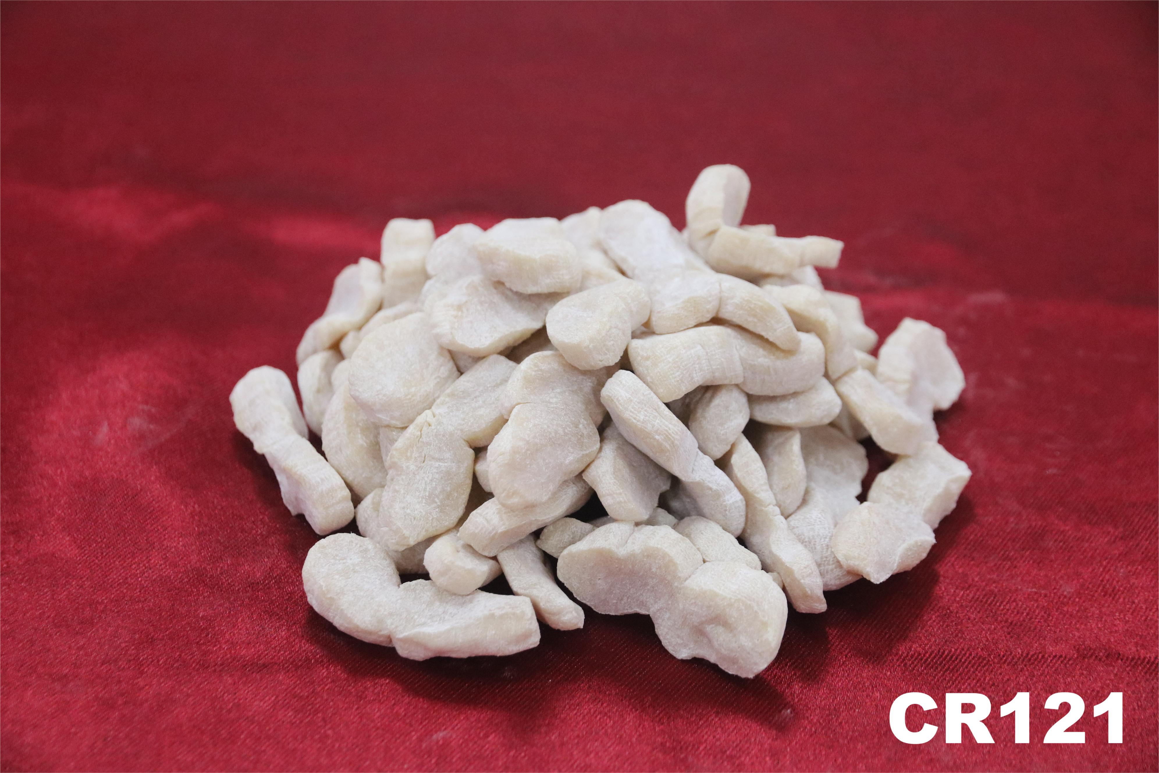 CHONGQING CHANGFENG CHEMICAL CO.,LTD – molde de inyección 1