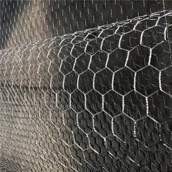 Hexagonal wire mesh Galvanized Electro galvanized Hot diped galvanized wire Poultry wire mesh