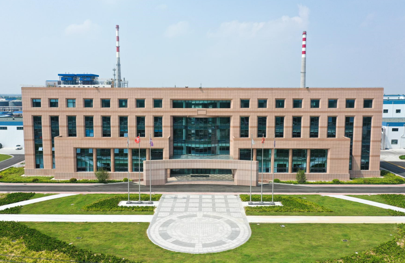 Shandong Weisen New Material Technology Co., Ltd. – Other food packaging 1